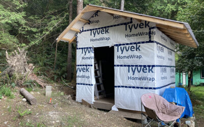 Shed