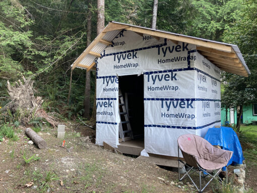 Shed