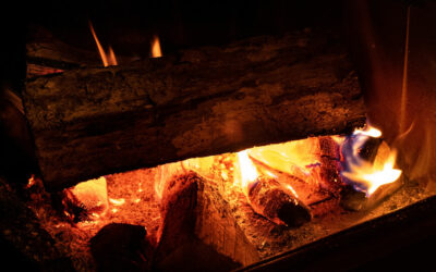 Wood stove